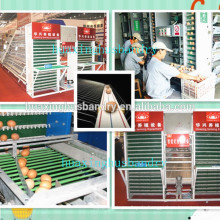 China automatische Eiersammelsystem zum Verkauf